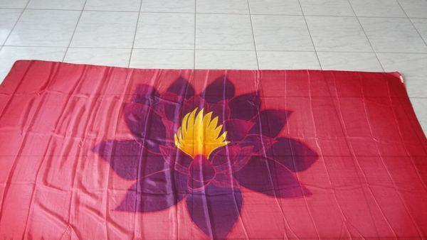 Véu de Seda para Dança do Ventre