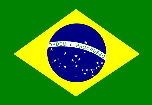 Véu de Seda para Dança do Ventre Bandeira