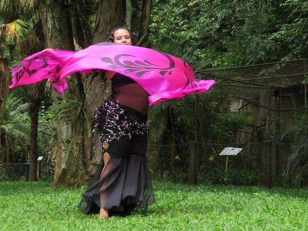 Véu de Seda para Dança do Ventre