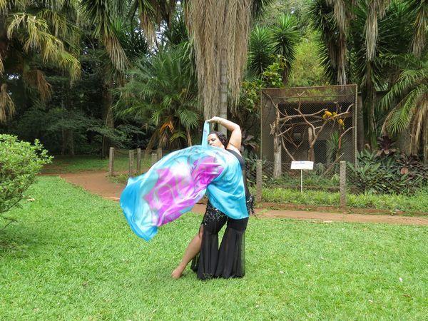 Véu de Seda para Dança do Ventre