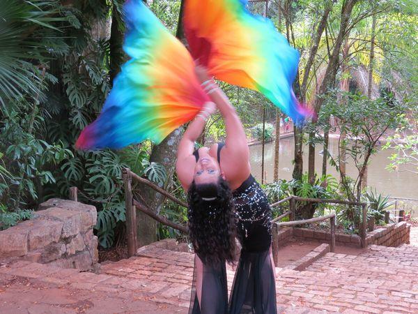 Véu Flag de Seda para Dança do Ventre